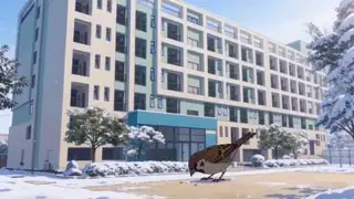 Episode 11